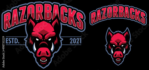 Razorbacks Sports mascot photo