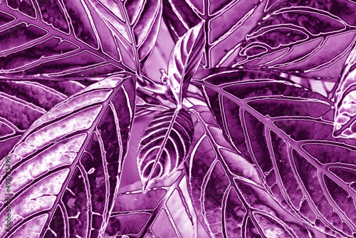 Pop Art Surreal Style Gradient Metallic Purple Colored Plant Leaves photo