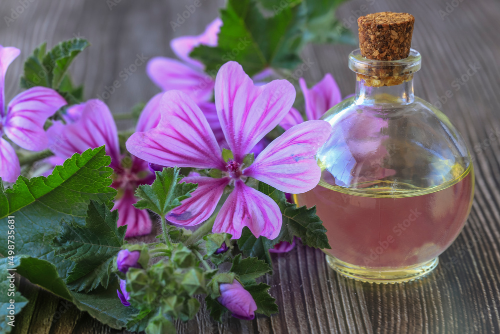 Jaswand or Hibiscus oil on wooden background, selective focus Jaswand or Hibiscus oil on wooden background, selective focus
