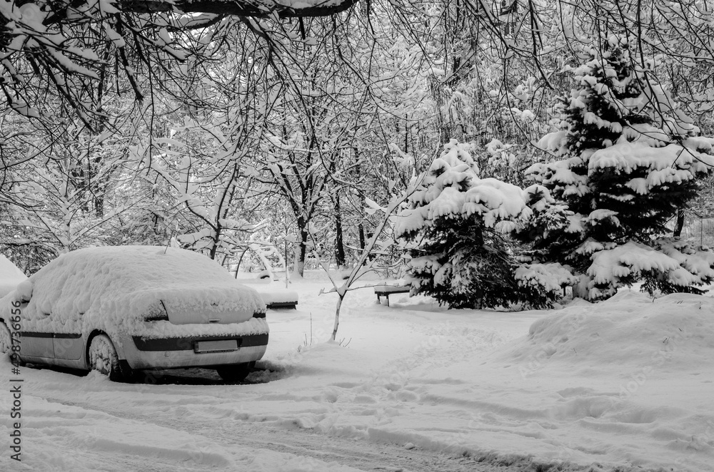 Winter. Winter landscape. Snow. Fir trees in the snow. Snowdrifts. Scenery. car in the snow