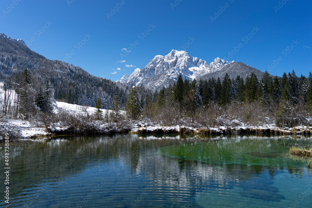 Lake Zelenci, Slovenia