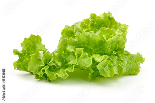 Salad leaf. Lettuce, isolated on white background.