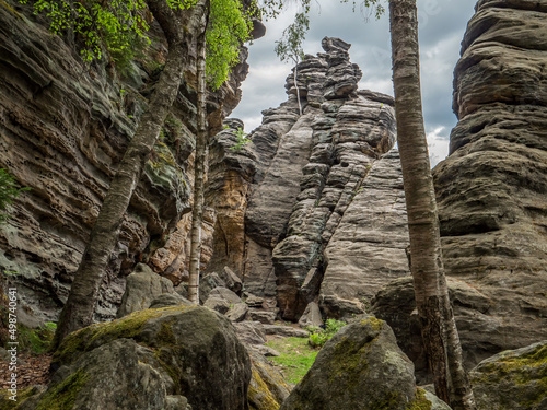 Bielatal, Ottomühle in der Sächsischen Schweiz – Birken und Felsblock