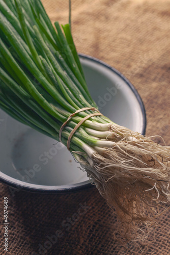 Fresh Bunch of chives and ceramic bowl photo