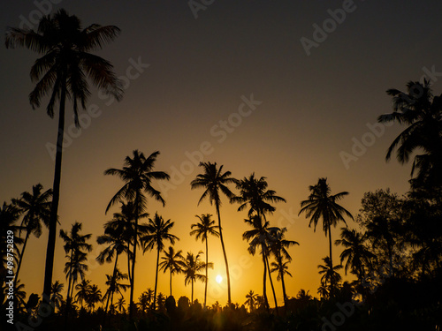 zanzibar