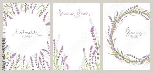 Lavender flowers. Collection vector illustration, banner with wildflowers, background for postcard or invitation. 