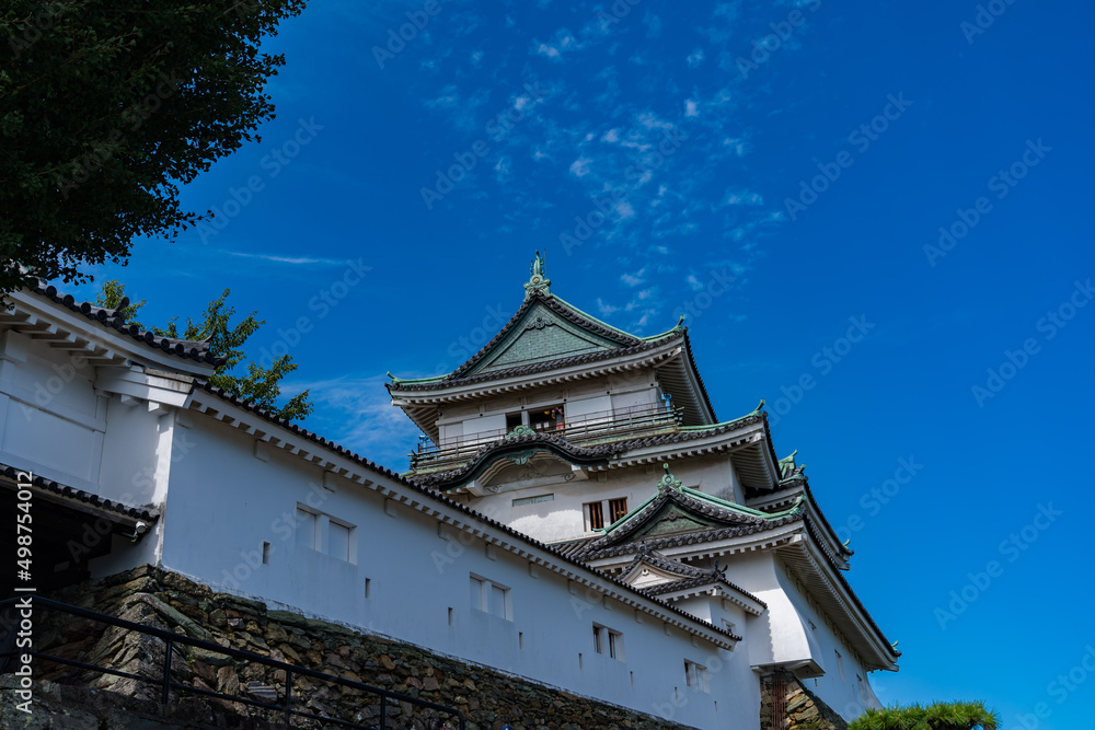 Fototapeta premium 和歌山城 和歌山
