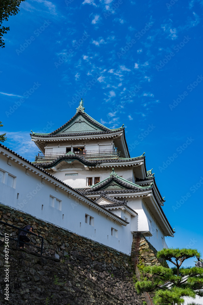 Fototapeta premium 和歌山城 和歌山