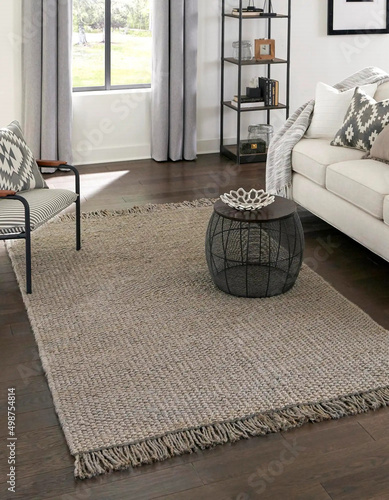 Modern geometry living area room jute rugs. Interior room modern design floor wall carpet rug furniture