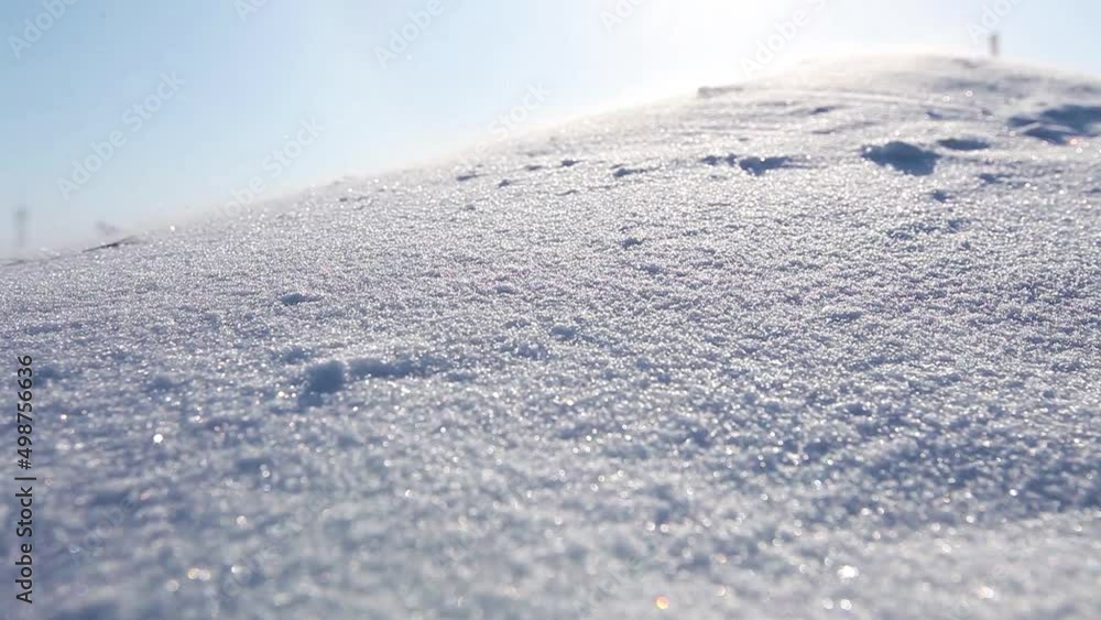 Snowstorm in the Arctic. Snow in the tundra. Close-up. Strong wind. Snowstorm in the Arctic. Snow in the tundra. Close-up. Strong wind.