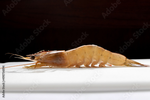 Fresh banana shrimp (Penaeus merguiensis) on cutting board with black background. photo