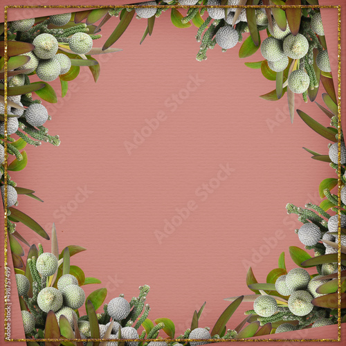 Square frame with flowers and leaves of Leucadendron and brunia on brown paper photo