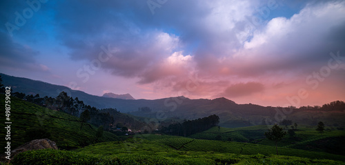 Breathtaking Sunset view of tea plantation landscape at Munnar, colorful sky with green tea garden nature view