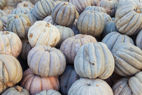 A lot of pumpkins at an open farmer's market.close-up there is a place