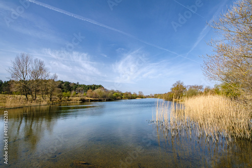 Amsterdamse Waterleidingduinen photo