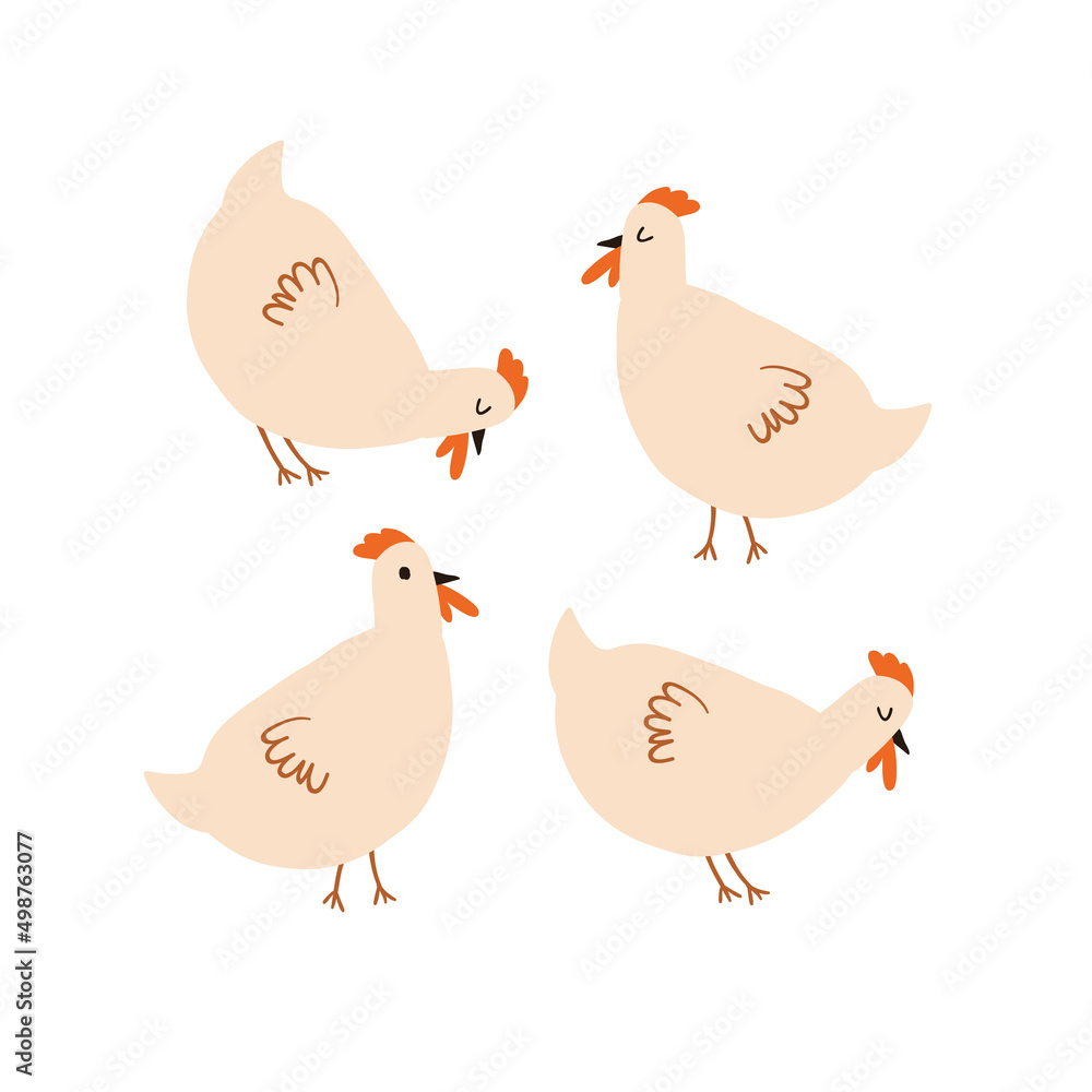 Cute chicken character on white background. Simple farm animal illustration Cute chicken character on white background. Simple farm animal illustration
