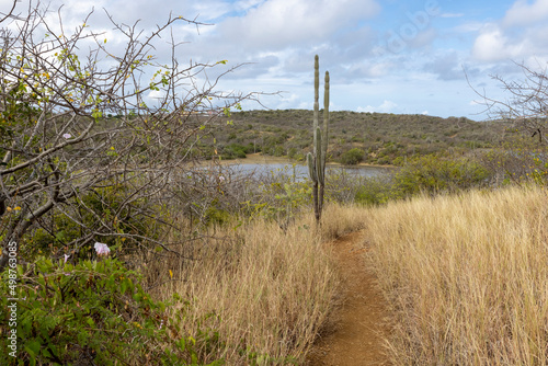 Walking a small, dusty path with view to the Jan Thiel lagoon on the Caribbean island Curacao