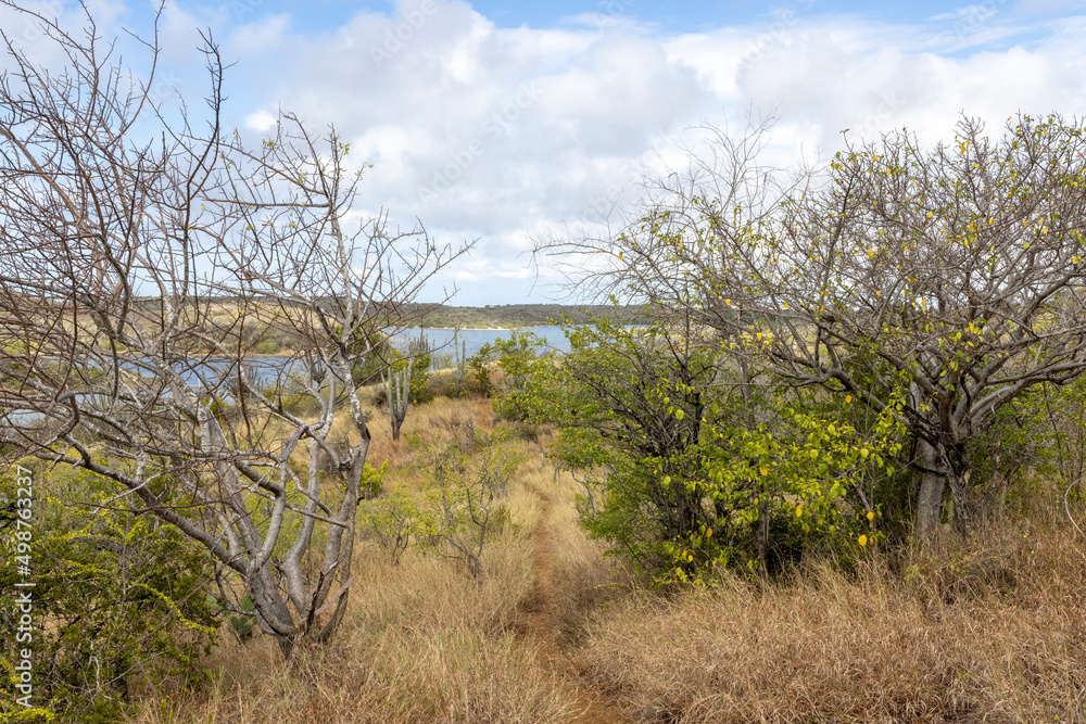 Walking a small, dusty path with view to the Jan Thiel lagoon on the Caribbean island Curacao Walking a small, dusty path with view to the Jan Thiel lagoon on the Caribbean island Curacao
