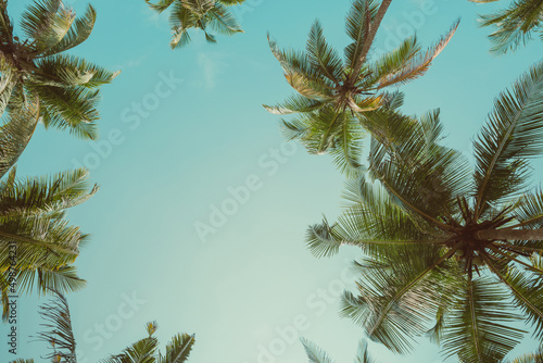 Tropical coconut palm trees crowns frame over clear blue sky vintage toned with copy-space
