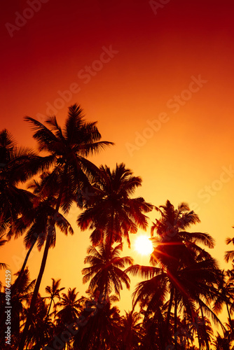 Tropical coconut palm trees silhouettes on ocean beach at sunset with shining sun