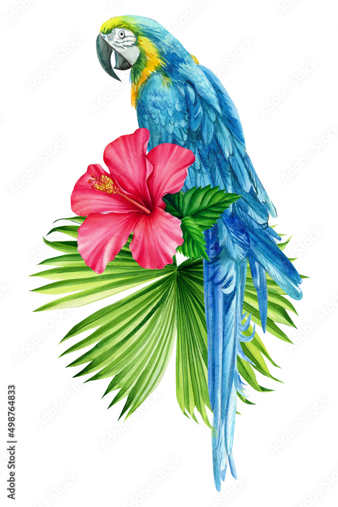 Blue macaw parrot, tropical leaves, hibiscus. Isolated on white background.Watercolor floral exotic illustration