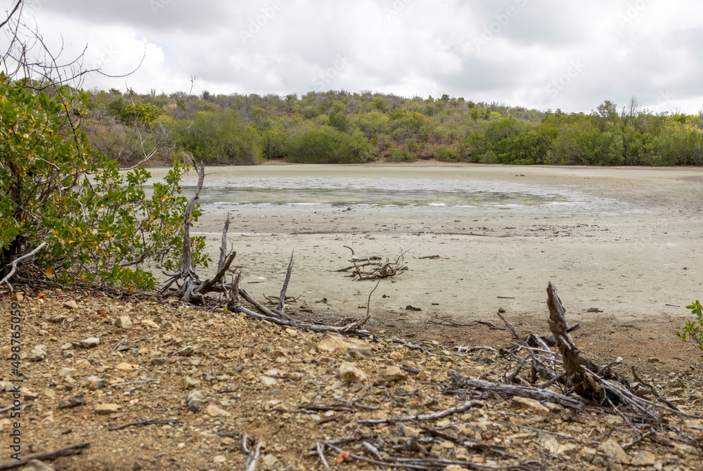Walking around the shores of the Jan Thiel salt flats on the Caribbean island Curacao Walking around the shores of the Jan Thiel salt flats on the Caribbean island Curacao