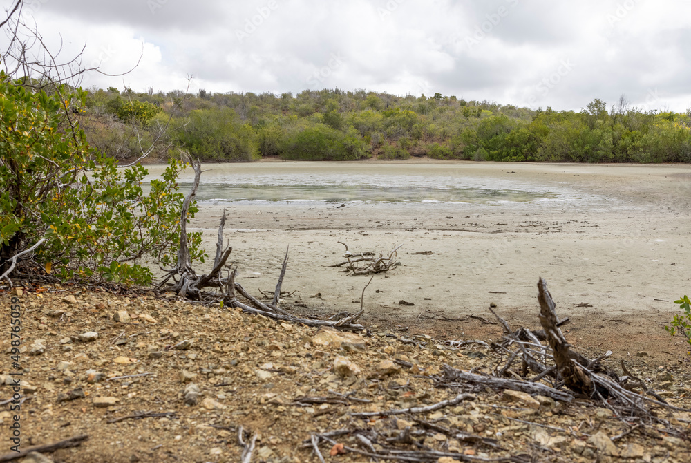 Walking around the shores of the Jan Thiel salt flats on the Caribbean island Curacao