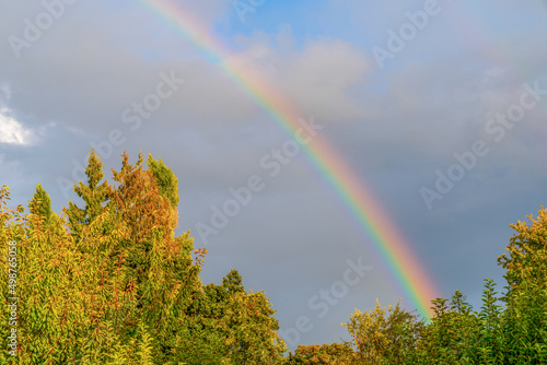 Fototapeta Naklejka Na Ścianę i Meble -  Portland's rainbow after the rain