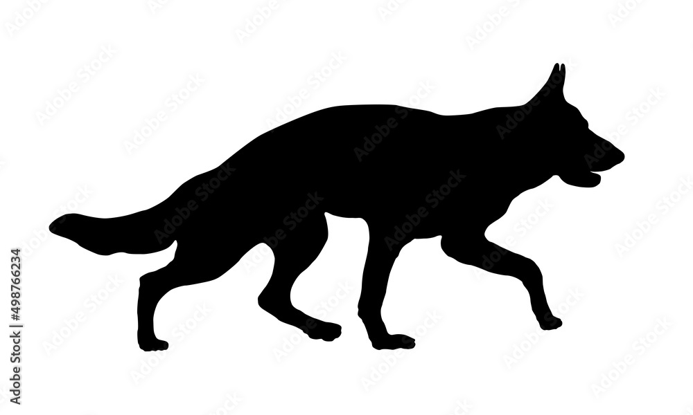 Running german shepherd dog puppy. Black dog silhouette. Pet animals. Isolated on a white background.