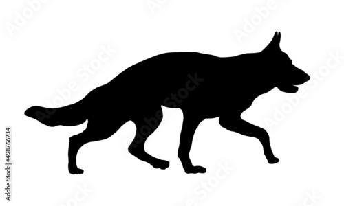 Running german shepherd dog puppy. Black dog silhouette. Pet animals. Isolated on a white background. © tikhomirovsergey