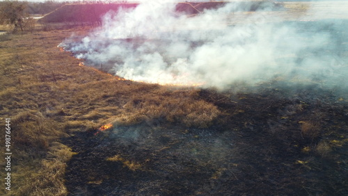 Aerial Drone View Over Burning Dry Grass and Smoke in Field. Flame and Open Fire. Top View Black Ash from Scorched Grass, Rising White Smoke and Yellow Dried Grass. Ecological Catastrophy, Environment