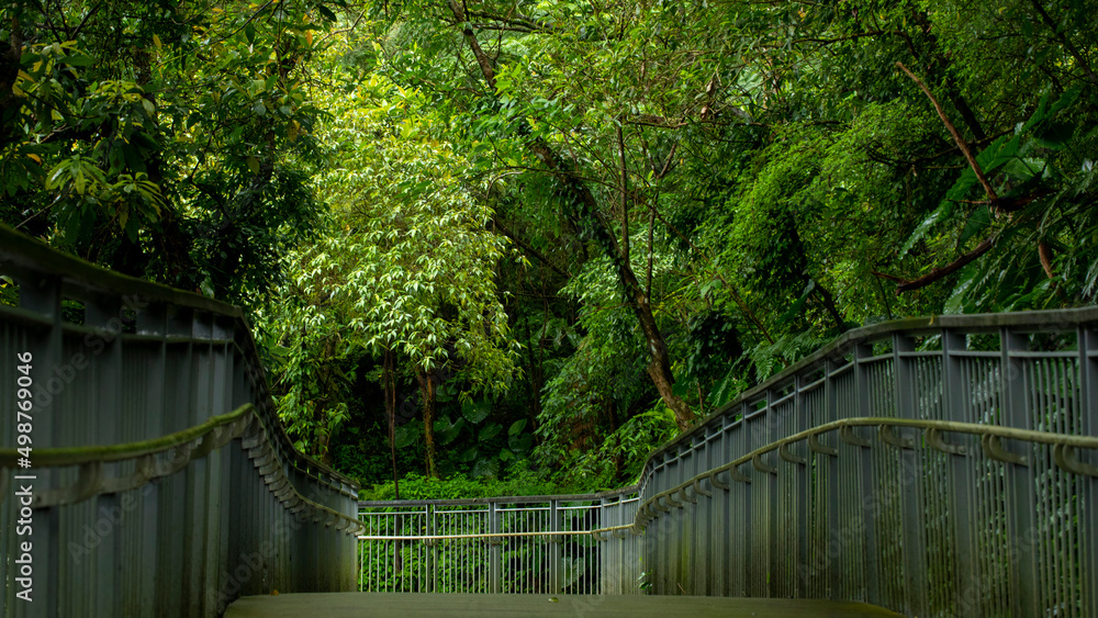 Taiwan, New Taipei City, Shifenliao Waterfall, park, forest trail