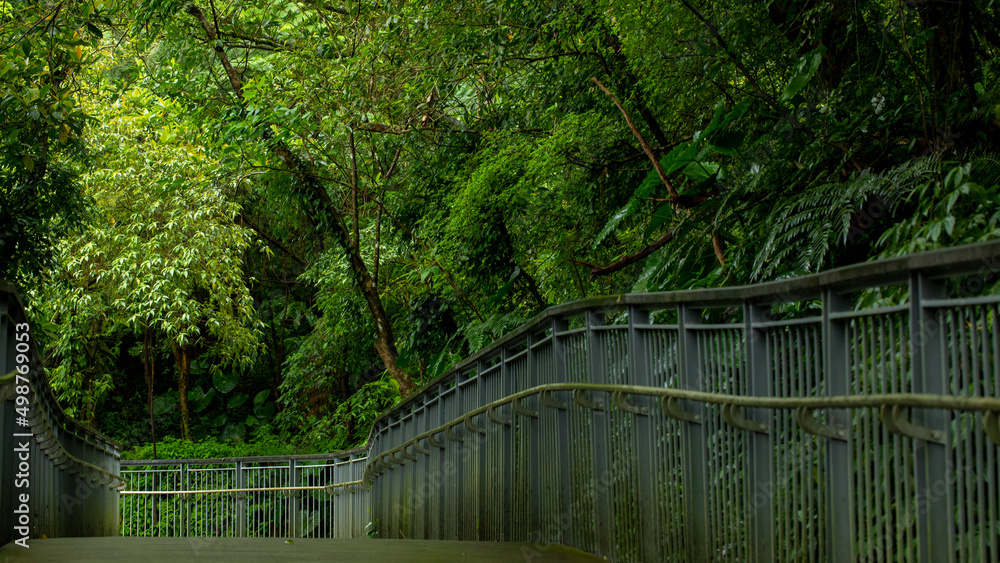 Taiwan, New Taipei City, Shifenliao Waterfall, park, forest trail