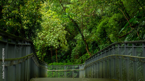 Taiwan  New Taipei City  Shifenliao Waterfall  park  forest trail