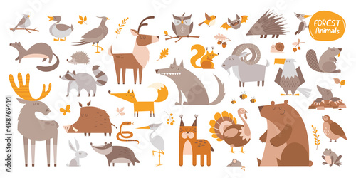 Big cartoon set of funny wild forest animals and birds.