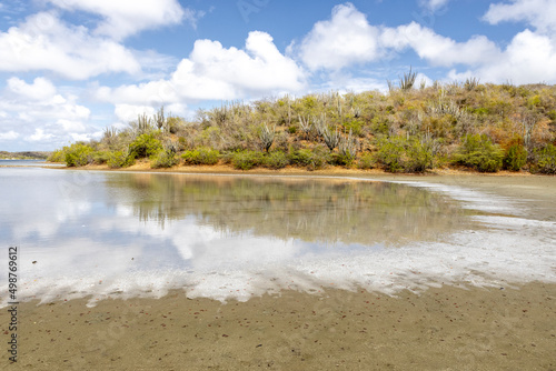 Walk along the salty shores of the Jan Thiel lagoon on the Caribbean island Curacao