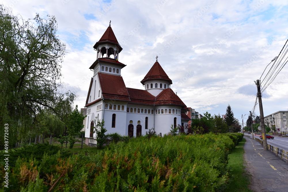 The Orthodox Church 6