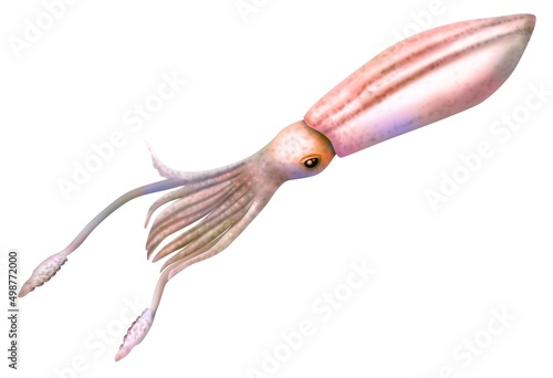Representation of a giant squid isolated on a white background. photo