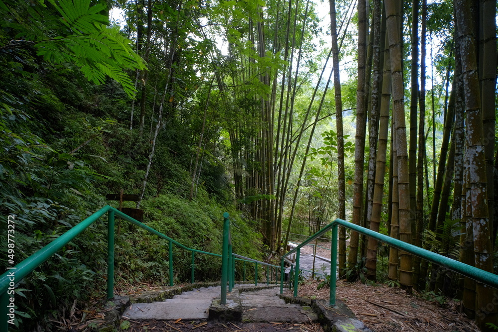 Rows of stairs going down in one of the ecotourism locations. Rows of stairs going down in one of the ecotourism locations.