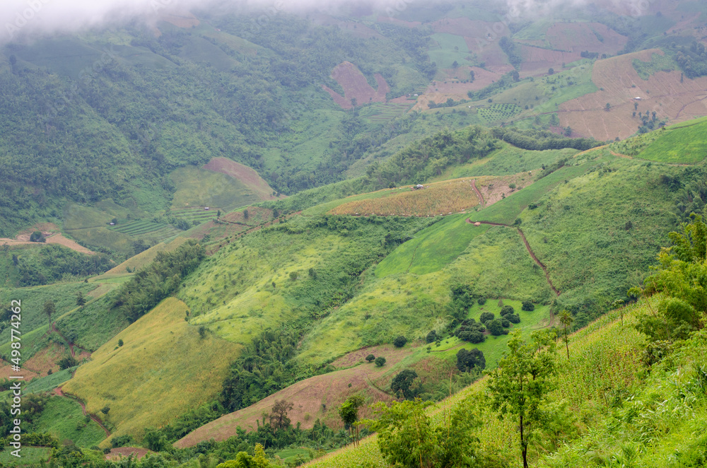 Landscape green mountains forest with rain fog at Doi Chang, Chiang Rai Thailand