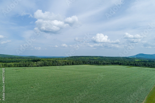 Potato Blossom Festival in Maine