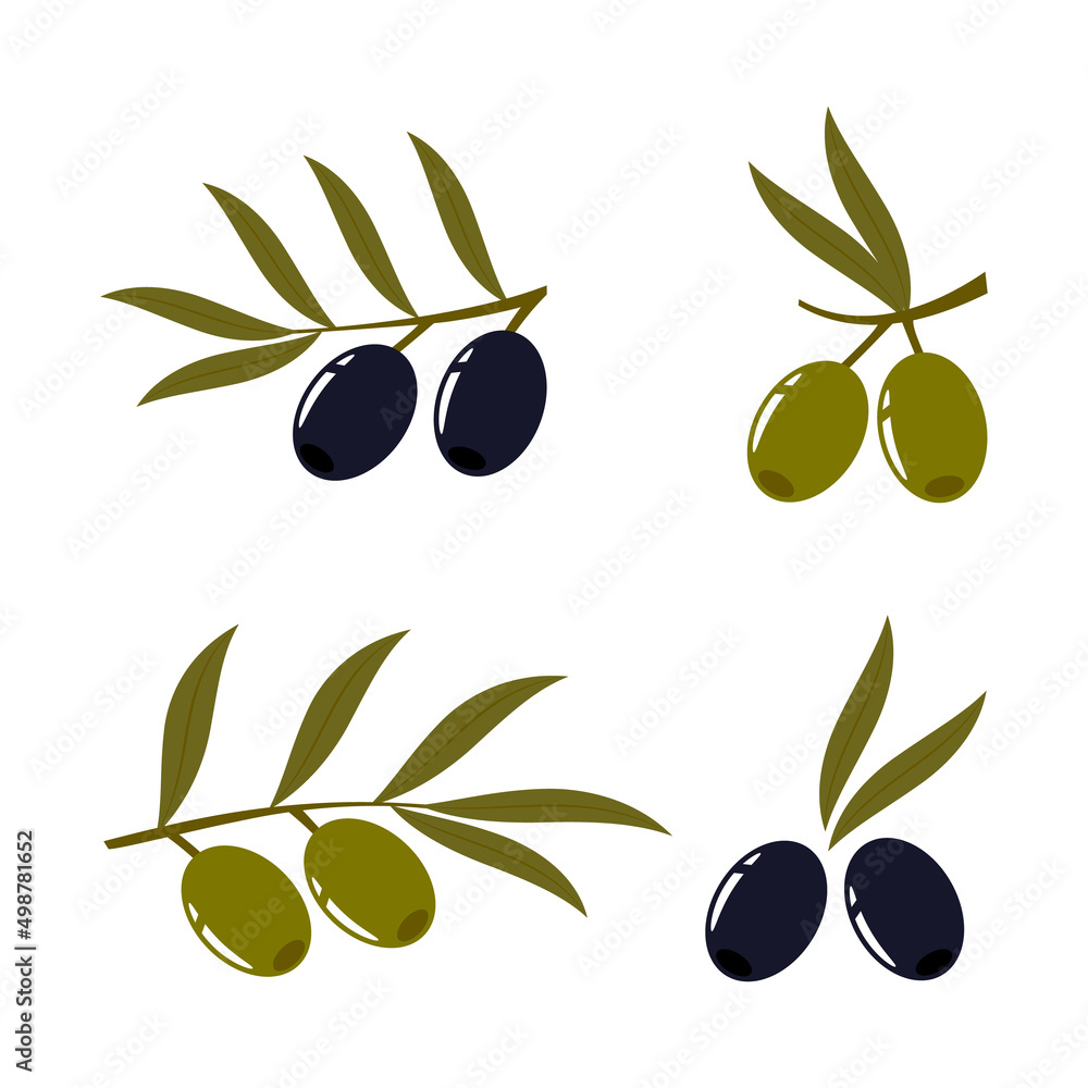 Set of olives. Olive branches. Vector illustration for deisgn, patterns, wreaths, web, olive oil logo