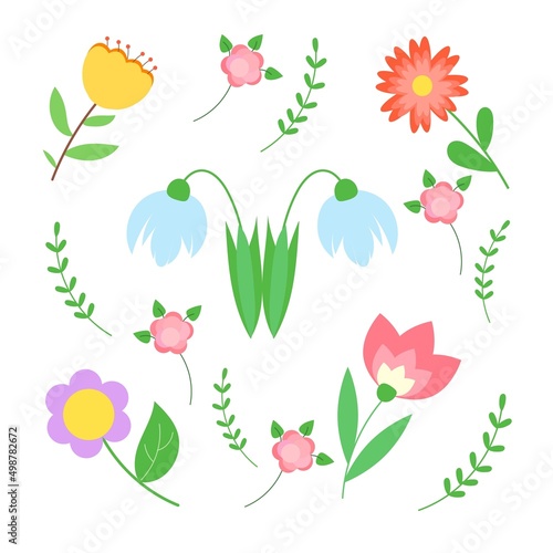 Set of flowers Spring flowers flat vector illustrations set. Icons isolated on white background. 