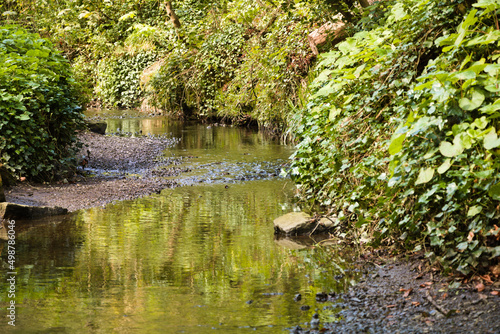 Canvas Print small river in the forest