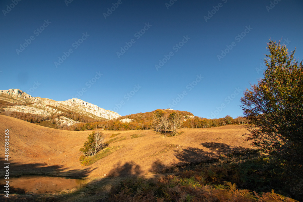 Magical forests in Northern Spain. Magical forests in Northern Spain.