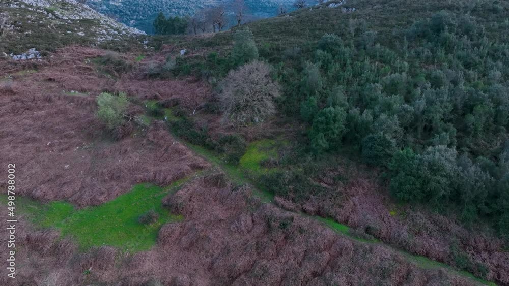 Landscape in San Miguel de Aras in the municipality of Voto. Aerial view from a drone. Aras Valley, Cantabria, Spain, Europe Landscape in San Miguel de Aras in the municipality of Voto. Aerial view from a drone. Aras Valley, Cantabria, Spain, Europe