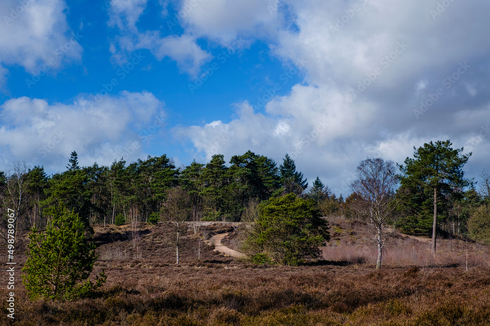 Tonnenberg - Zwolse bos bij Speuld Tonnenberg - Zwolse bos bij Speuld