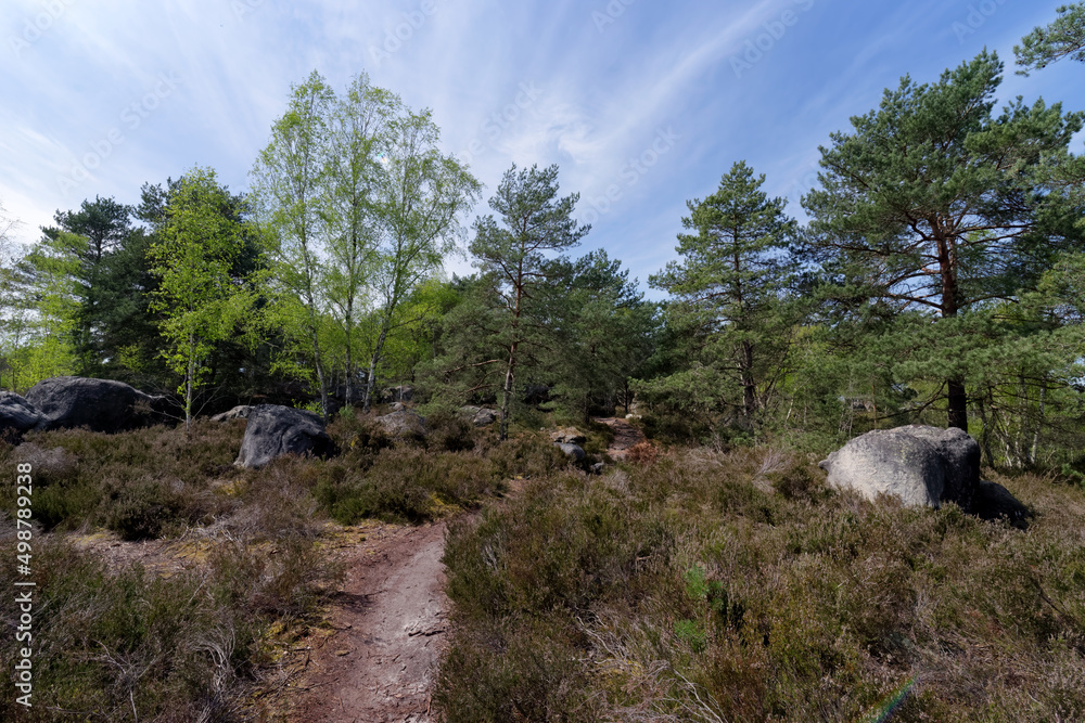 Belvederes path in Fontainebleau forest. Denecourt hiking path 16