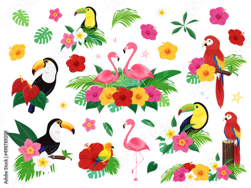 トロピカルな鳥と花のイラスト素材セット