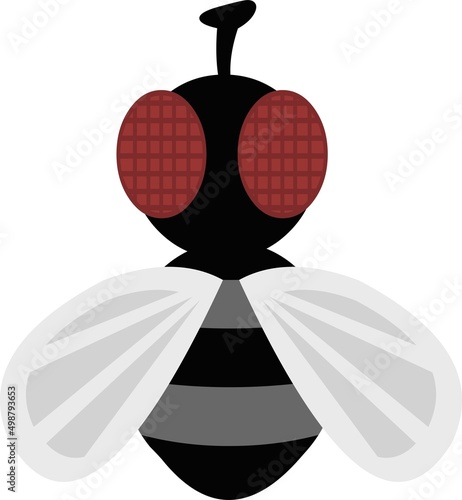 Vector illustration of an insect fly cartoon